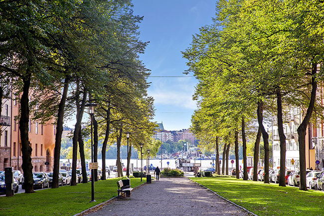 Kungsholmstorg på Kungsholmen: En livlig och central del av Stockholm med attraktiva lägenheter till salu