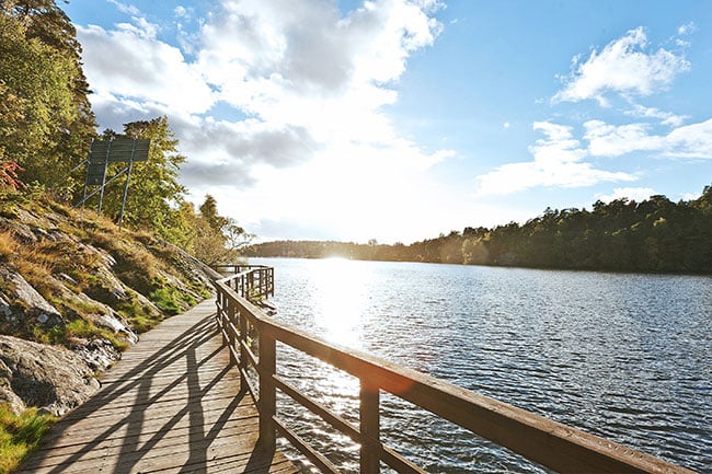 Vatten och natur på stora Essingen: här söker många lägenheter till salu