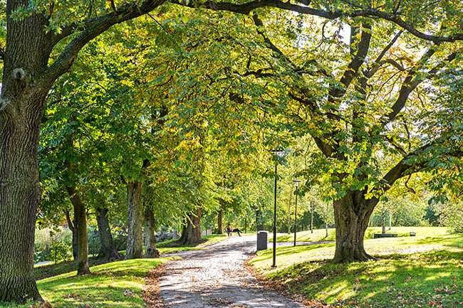 Kronobergsparken, Kungsholmen. Bjurfors mäklare på Kungsholmen hjälper dig att köpa och sälja lägenhet på Kungsholmen.