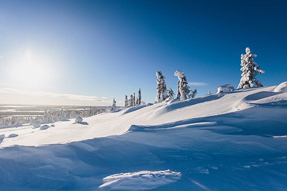 maklare-lulea-bjurfors-vinterlandskap.jpg